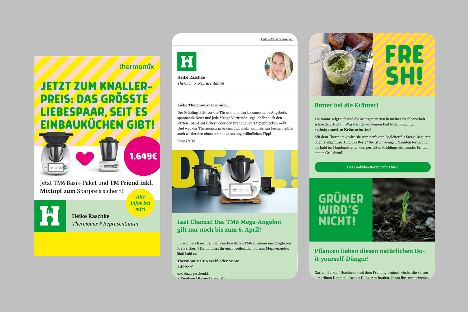 Entwicklung und Anwendung der eigenständigen visuellen Markenidentität der Thermomix-Repräsentantin, Newsletter und Social Media Branding